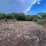  Land for sale in Ratanak Kiri, Ou Chum, Ou Chum, Ratanak Kiri