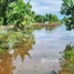  Land for sale in Kandal, Peam Reang, Leuk Daek, Kandal