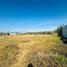  Land for sale in Mean Chey, Phnom Penh, Stueng Mean Chey, Mean Chey
