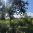  Land for sale in Preah Vihear, Thmei, Kuleaen, Preah Vihear