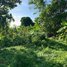  Land for sale in Khsach Kandal, Kandal, Kaoh Chouram, Khsach Kandal