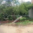  Land for sale in Kandal, Samraong Thum, Kien Svay, Kandal