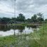 1 Bedroom House for sale in Kampong Speu, Veal Pong, Odongk, Kampong Speu