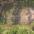  Land for sale in Khsach Kandal, Kandal, Puk Ruessei, Khsach Kandal