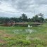 1 Bedroom House for sale in Kampong Speu, Veal Pong, Odongk, Kampong Speu