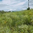  Land for sale in Preah Vihear, Rumdaoh, Rovieng, Preah Vihear