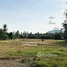  ដី for sale in ខេត្តកំពត, សង្កាត់អណ្ដូងខ្មែរ, ខេត្តកំពត, ខេត្តកំពត