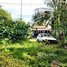  Land for sale in Stueng Saen, Kampong Thom, Damrei Choan Khla, Stueng Saen
