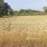  Land for sale in Kampong Speu, Trach Tong, Odongk, Kampong Speu