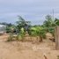  Land for sale in Cambodia, Ampov Prey, Kandal Stueng, Kandal, Cambodia